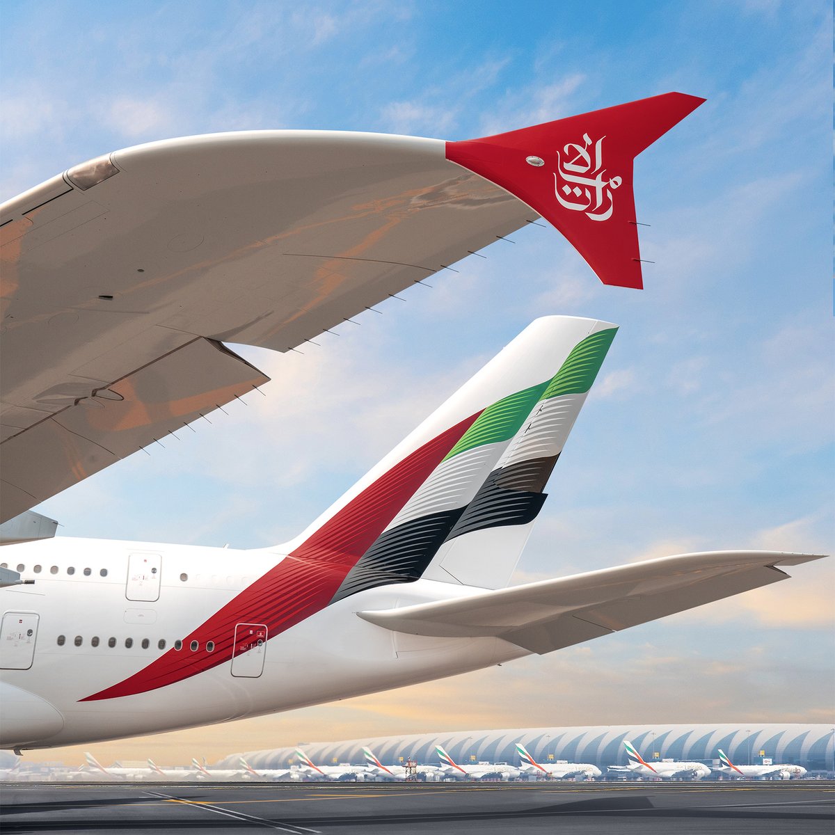Have you seen our brand new livery yet? Take a look at how it came together, on the first aircraft of many to receive it.