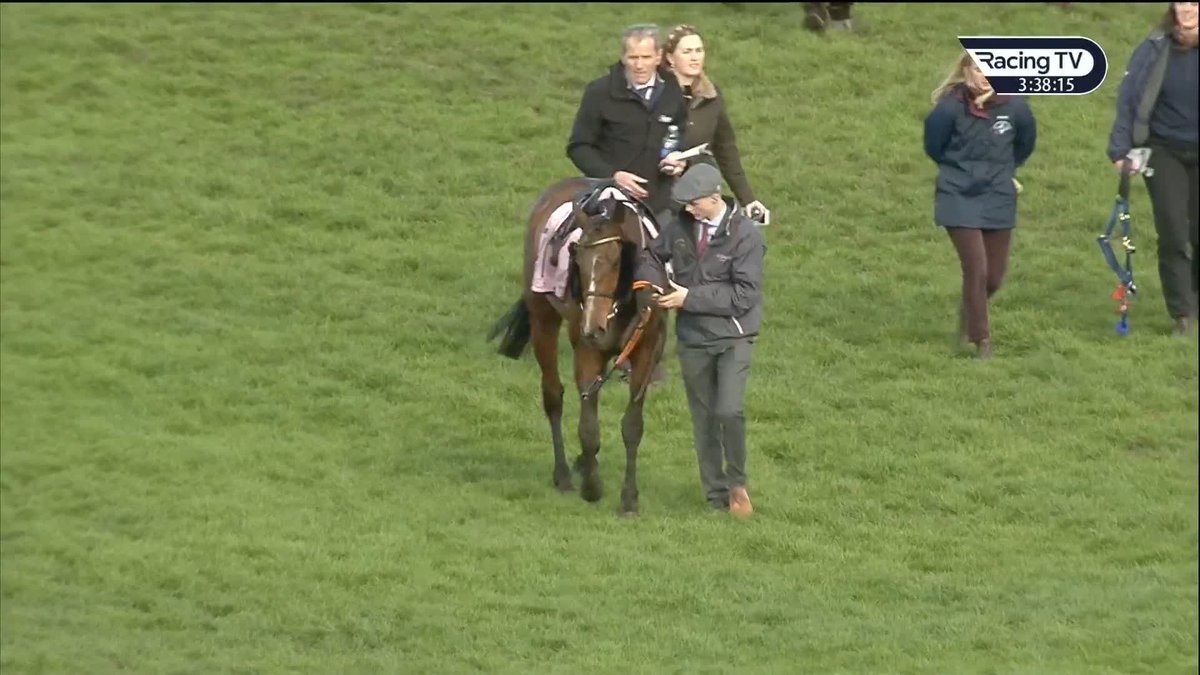 👏 Fantastic news All horses, Ahoy Senor, Sounds Russian &amp; Hewick are OK