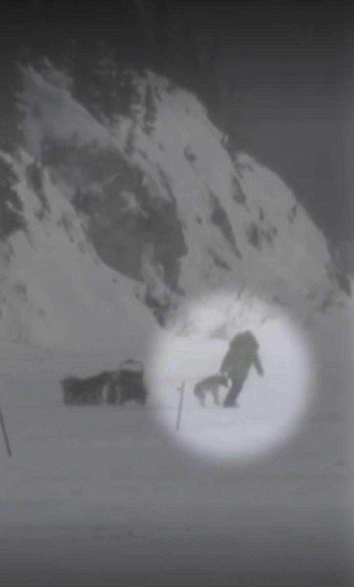 The #Iditarod’s 1st place title is built on the immense suffering of dogs. Here’s this year’s winner (LOSER), Ryan Redington forcing his remaining exhausted dogs to keep running and pulling him.