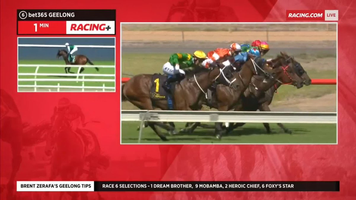 UPDATE: Teo Nugent is currently conscious & communicating with ambulance officers. He will be transported to hospital to undergo further tests. There will be a delay to the next race at The Valley.