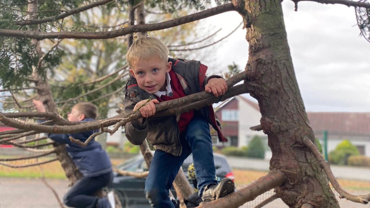 When a storm downed a few trees in its schoolyard, @DycePrimary designated the area as a wild "Woody Play" space. Students use it to explore, create, and romp freely—for a solid hour each week. Results are exceeding expectations. #MakingLearningMorePlayful with The LEGO Foundation