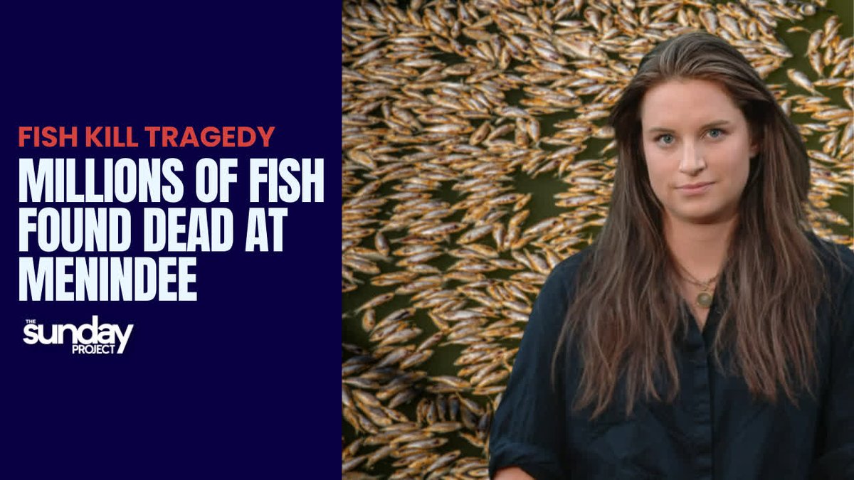 Few people outside of Menindee have heard of it before, a catastrophic fish kill five years ago. Now, millions of fish once again have been found dead as locals plead for more help from authorities. Water researcher Kate McBride explains what is causing the mass deaths.