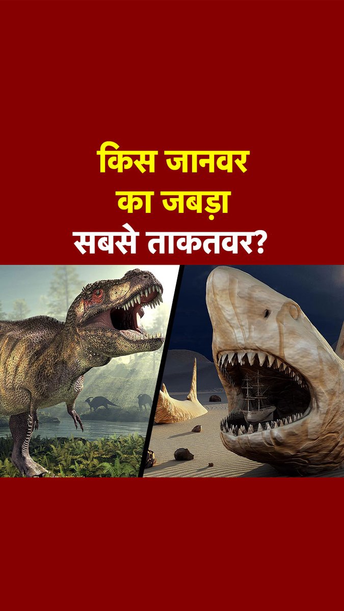 दुनिया में कौन सा ऐसा जानवर है, जिसके जबड़े की ताकत सबसे ज्यादा होती है? मगरमच्छ, शार्क, ओर्का व्हेल या डायनासोर की... #ATDigital #Crocodile #Dianosour
