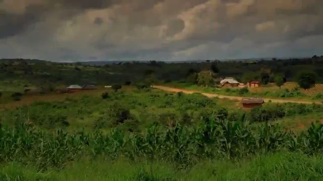 Here is a good #Maandamano song. The chorus is on point.