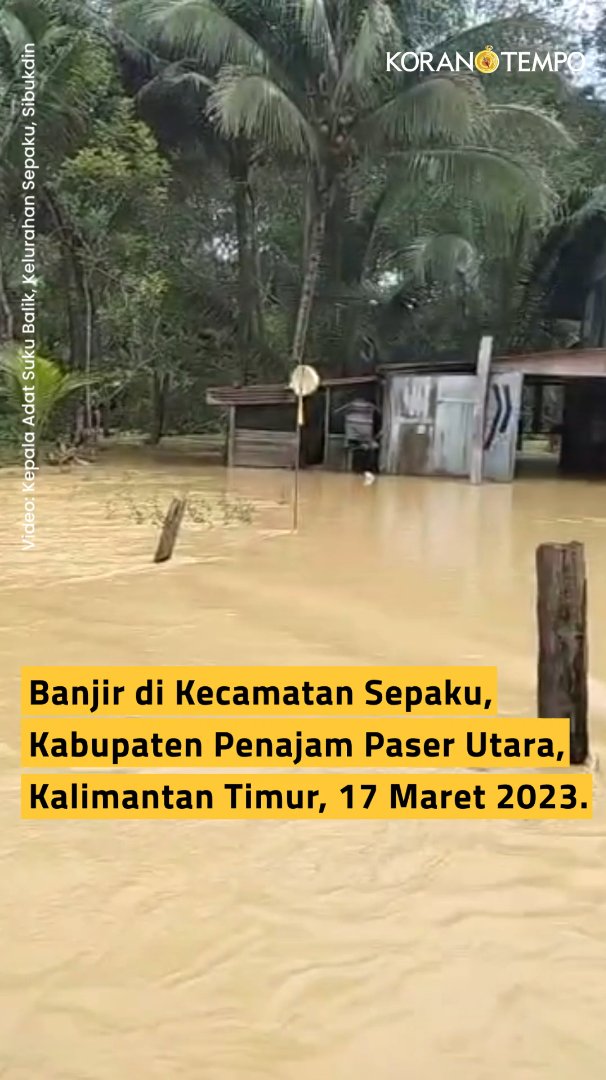 Banjir melanda kawasan inti pusat pemerintahan di Ibu Kota Negara (IKN). Genangan air menutupi jalan, rumah, dan sawah warga di Kelurahan Sepaku, Kalimantan Utara. Apa saja yang jadi penyebab banjir di kawasan IKN? Simak edisi terbaru Koran Tempo di