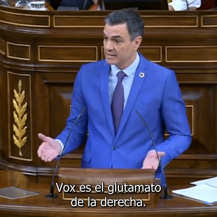 VOX es el glutamato de la derecha: un simple potenciador del sabor más extremo y radical.