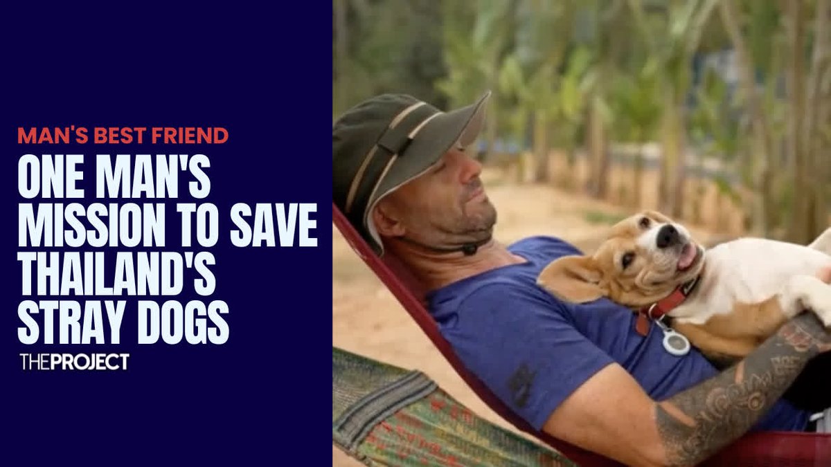 Dogs are known as man's best friend, but not every dog is born into the life they deserve, and one man has made it his mission to save every stray dog he comes across. Meet Niall Harbison, who has started his big mission in Thailand.