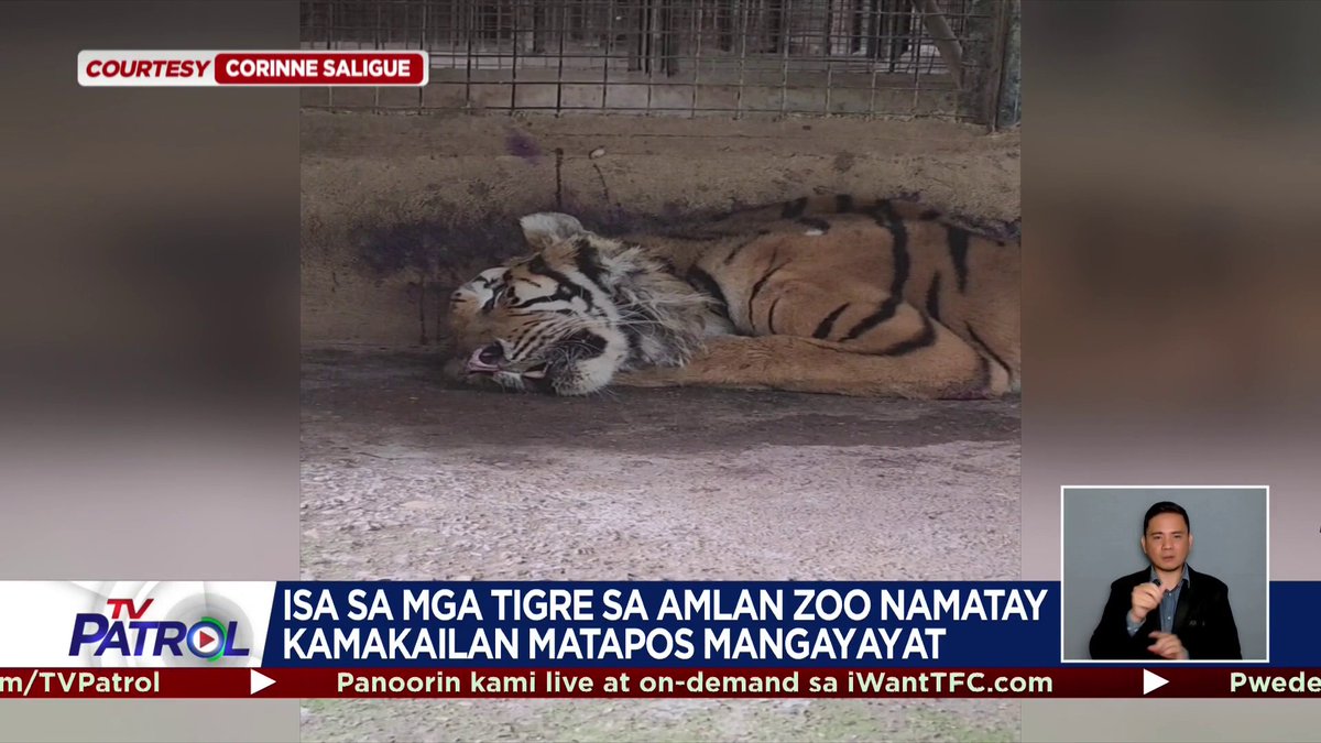 Nananawagan ng tulong ang ilang residente sa Negros Oriental para sa pagkain at gamot ng mga hayop sa isang zoo, na 7 buwan nang isinara. Para sa iba pang mga balita, magtungo lamang sa