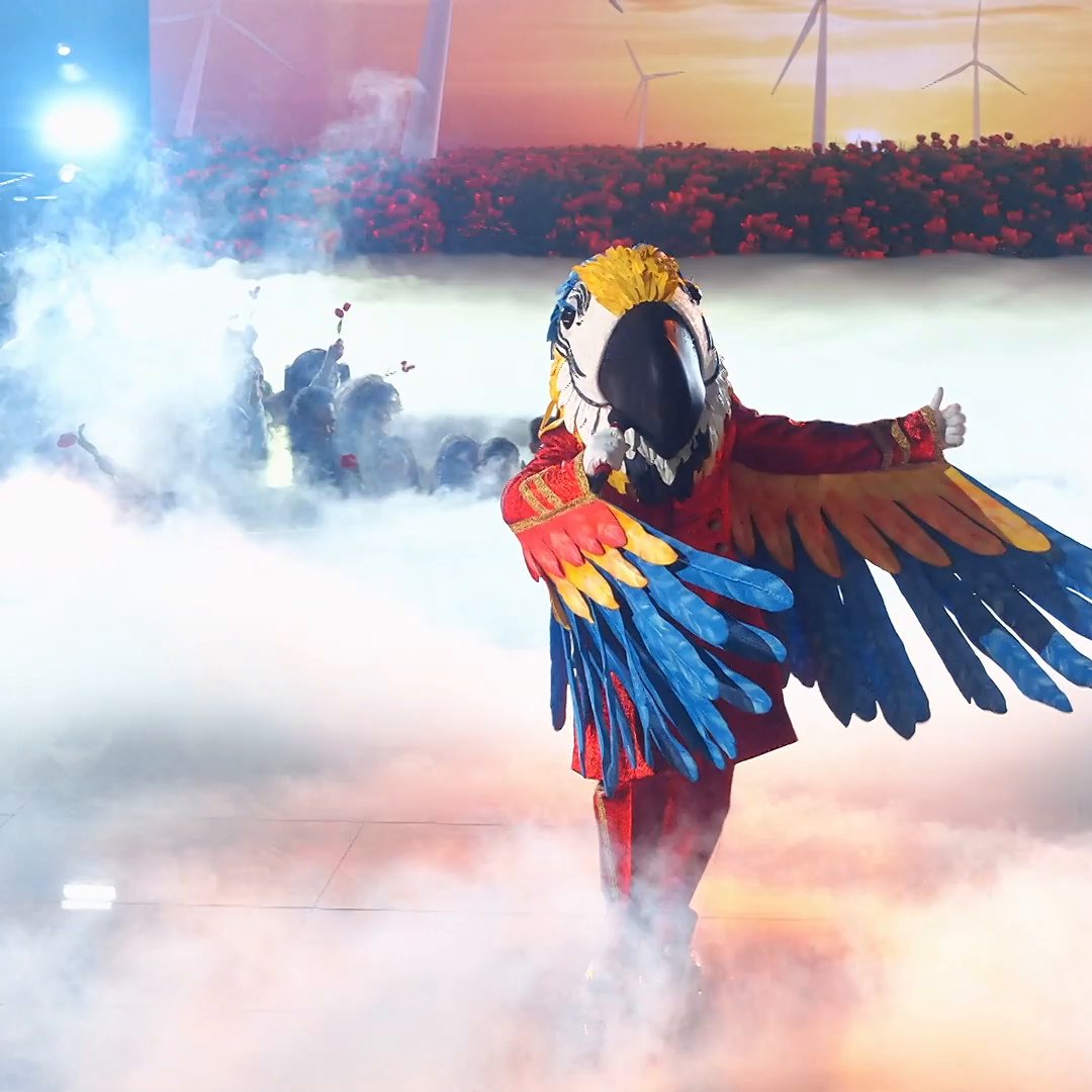 If you weren't excited for #CountryNight before, you sure are now! 🤠 How amazing is this #MacawMask performance? 🤩 #TheMaskedSinger