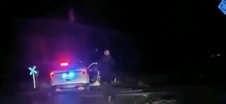 Police officer Falsely arrests a Mother, puts her in his squad car directly on the train tracks and runs...