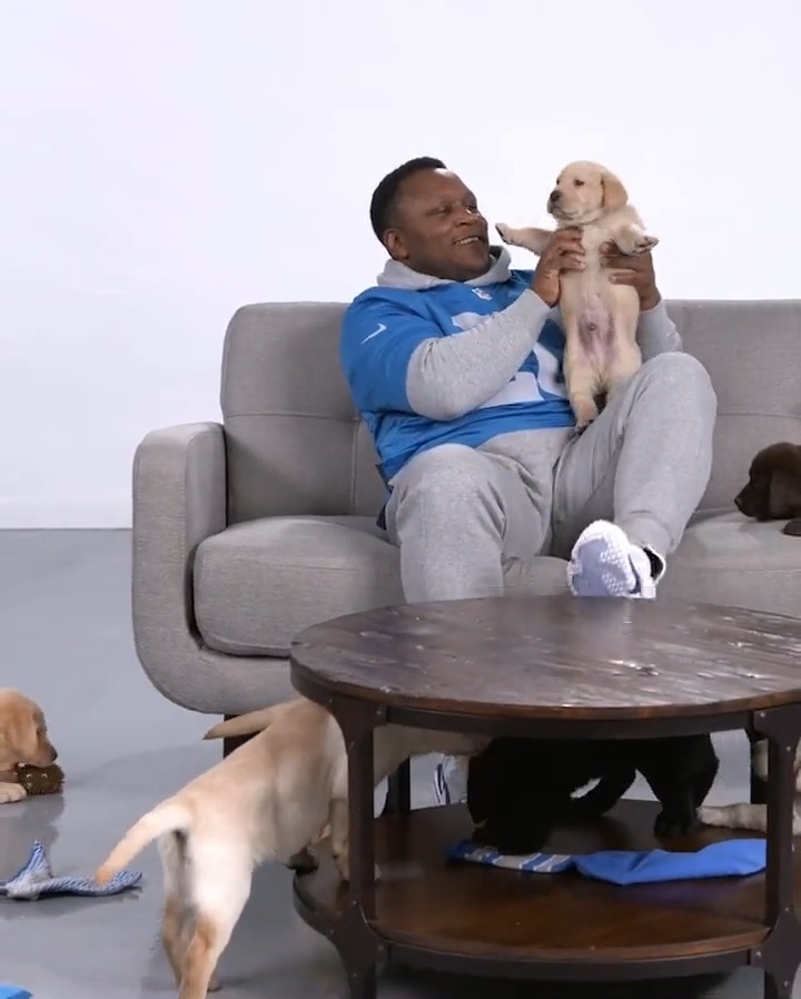 🐐 🤝 🐶 Drop a photo of your pups in #Lions gear for a chance to win a gift card, courtesy of Pet Supplies Plus, in celebration of #NationalPuppyDay!