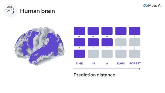 Meta AI researchers show how current language models differ from the human brain &amp; highlight the role of long-range &amp; hierarchical predictions. Read the open accessed article in Nature ➡️
