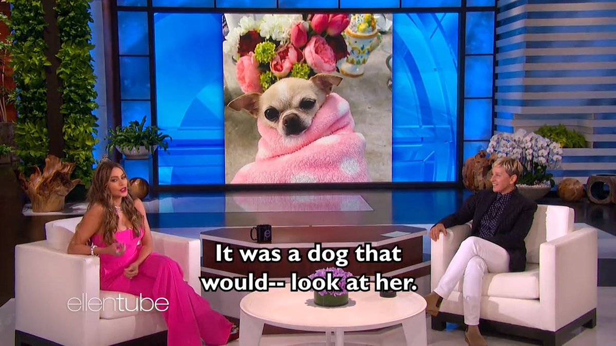 The real reason I started a Talk Show was to ask celebrities about their dogs. #NationalPuppyDay