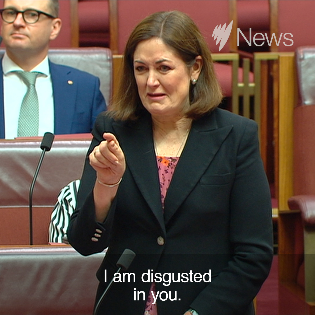 Tensions have boiled over in the Senate during a debate about banning Nazi symbols, leaving one Liberal Senator in tears. For the latest news videos, visit: