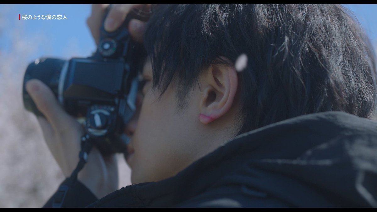 配信開始から本日でちょうど1年✨ 桜が満開に咲く季節に観たくなる、中島健人×松本穂香でおくるNetflix映画『#桜のような僕の恋人』。同作の冒頭6分間をお届け🌸 #LoveLikeTheFallingPetals