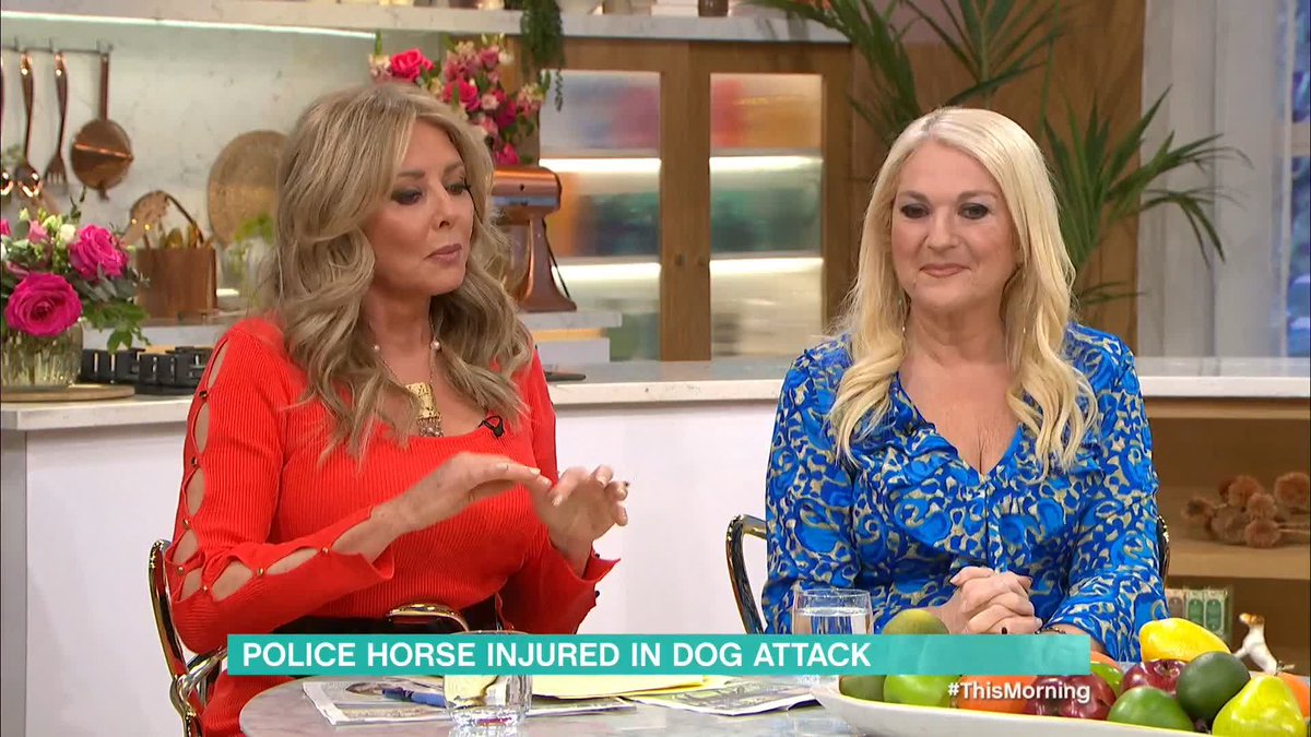 Should dogs be allowed off the lead in a public place? 🐶 After a police horse was attacked by a dog in Victoria Park on Wednesday, Carol Vorderman and Vanessa Feltz join us to discuss whether dogs should be allowed off the lead in public places. #thismorning