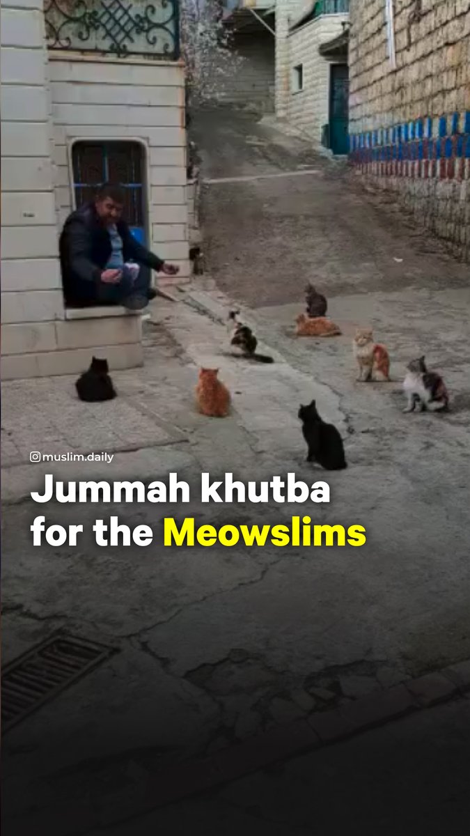 A lesson in how you should listen attentively during the Khutba 🐈😊 The Prophet ﷺ said that whoever does ghusl, then comes to Jumu’ah, listens attentively until the khutbah is over, and prays with the imam, will be forgiven for his sins between that and the next Jumu’ah.
