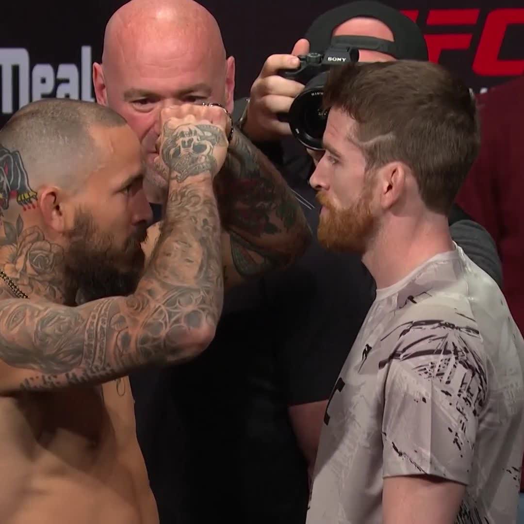 Two of bantamweight’s BEST meet tomorrow night!! 🔥 @ChitoVeraUFC vs @CorySandhagen headlining at #UFCSanAntonio! [ Prelims 4:30pmET | Main Card 7pmET | LIVE on @ESPN ]