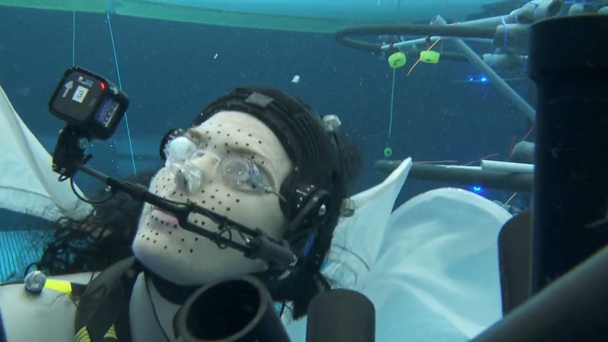 Exclusive: Here's a behind-the-scenes look at the making of “Avatar: The Way of Water,” in which the film’s cast and crew reveal the innovative methods they deployed to shoot the film, as the production team learned how to work vis-à-vis the way of water.