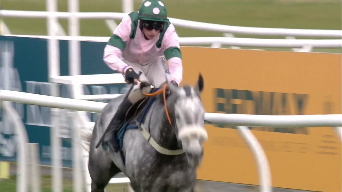 Redemption! 🤩 Elvis Mail bounces back from Cheltenham disappointment - great ride from local lad Bruce Lynn 👏 #ITVRacing | Kelso Racecourse | Nick Alexander