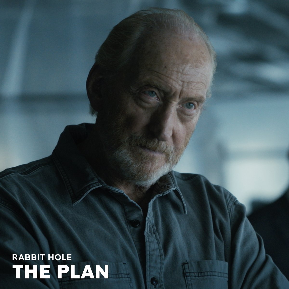 Teamwork is hard. Trust is harder. #RabbitHoleSeries is now streaming exclusively on #ParamountPlus.