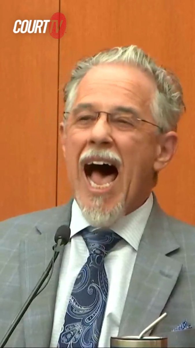 Terry Sanderson testified that he heard a “blood curdling scream” just before #GwynethPaltrow crashed into him on the ski slope. What do YOU think? ⚖️ WATCH LIVE: