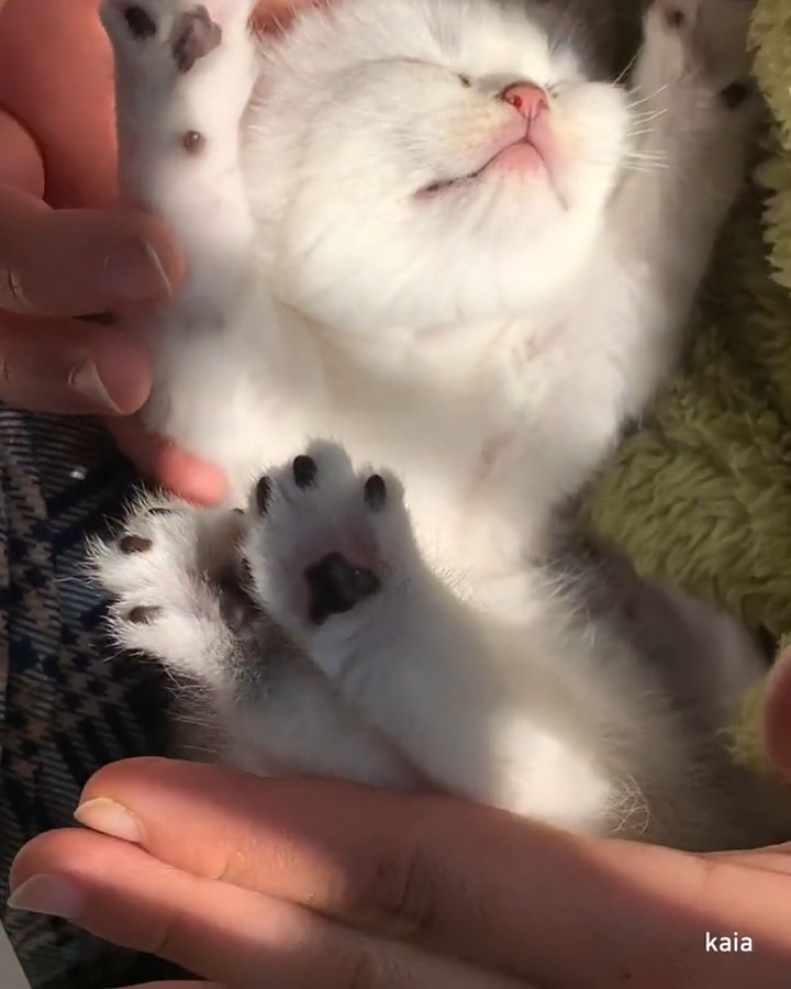 big stretch
