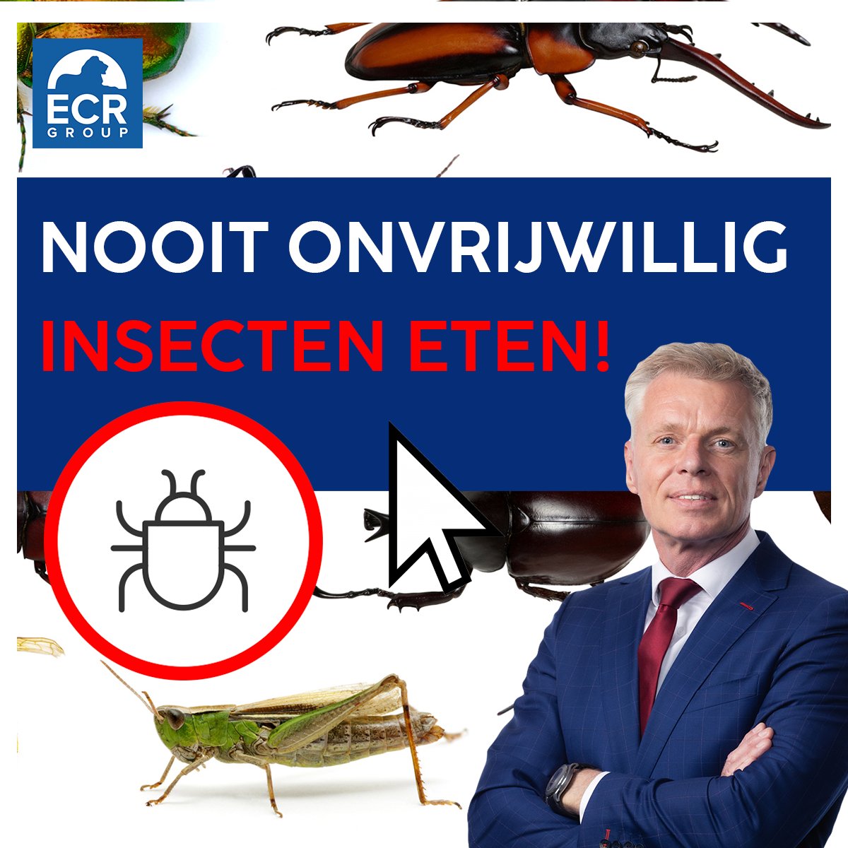 🐜 Insecten in je voedsel? Sinds kort kan dat. En pas op: alleen de Latijnse naam is verplicht op de verpakking. 🚨 Ik stelde vragen aan de Europese Commissie. Ik wil de normale naam op de verpakking. Én een #insecten-icoontje. Zodat niemand onvrijwillig insecten hoeft te eten: