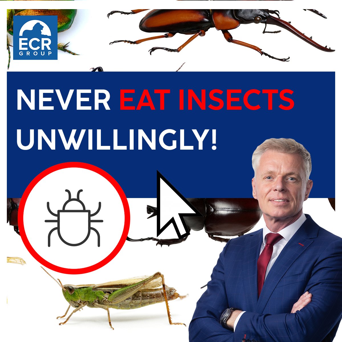 🐜 Eating the bugs? Now, it's possible in the EU. And watch out: only the Latin name appears on the food packaging. 🚨 I asked questions to the EU Commission. I want the common name on the packaging. And an #insect icon, too. So that no one has to eat the #bugs involuntarily: