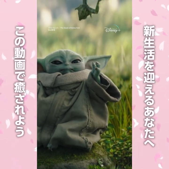 この春、新たな冒険の始まり🌸 #グローグー と一緒に銀河へ飛び出そう‼ フォロー＆RTで、あなたの新年度を応援する カレンダー壁紙がリプで届く📩《全12種類》✨ 引用RTで何度でも参加🆗 #スターウォーズ 最新作 『#マンダロリアン』 #ディズニープラス で独占配信中！