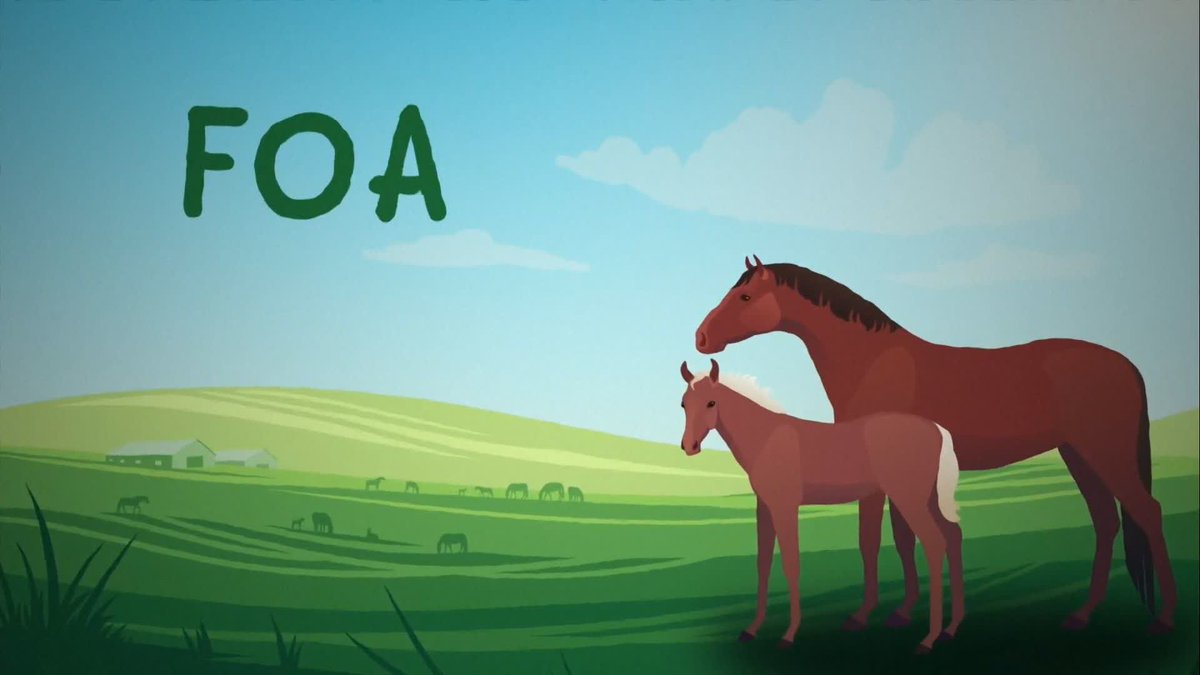 🚨 We need you! Submit your entries for this week's Foal Watch by replying below and we'll feature the best ones on Saturday's show 😁 #ITVRacing | #TheOpeningShow
