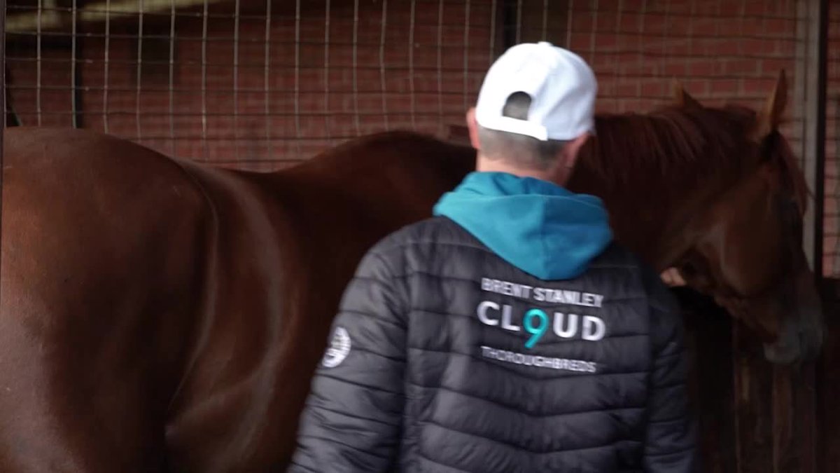 "Just waiting for the penny to drop &amp; I feel like that was done last week." Sorel Rising will step up in grade as he chases Bendigo Guineas success on Saturday 👊 Cloud9 Thoroughbreds