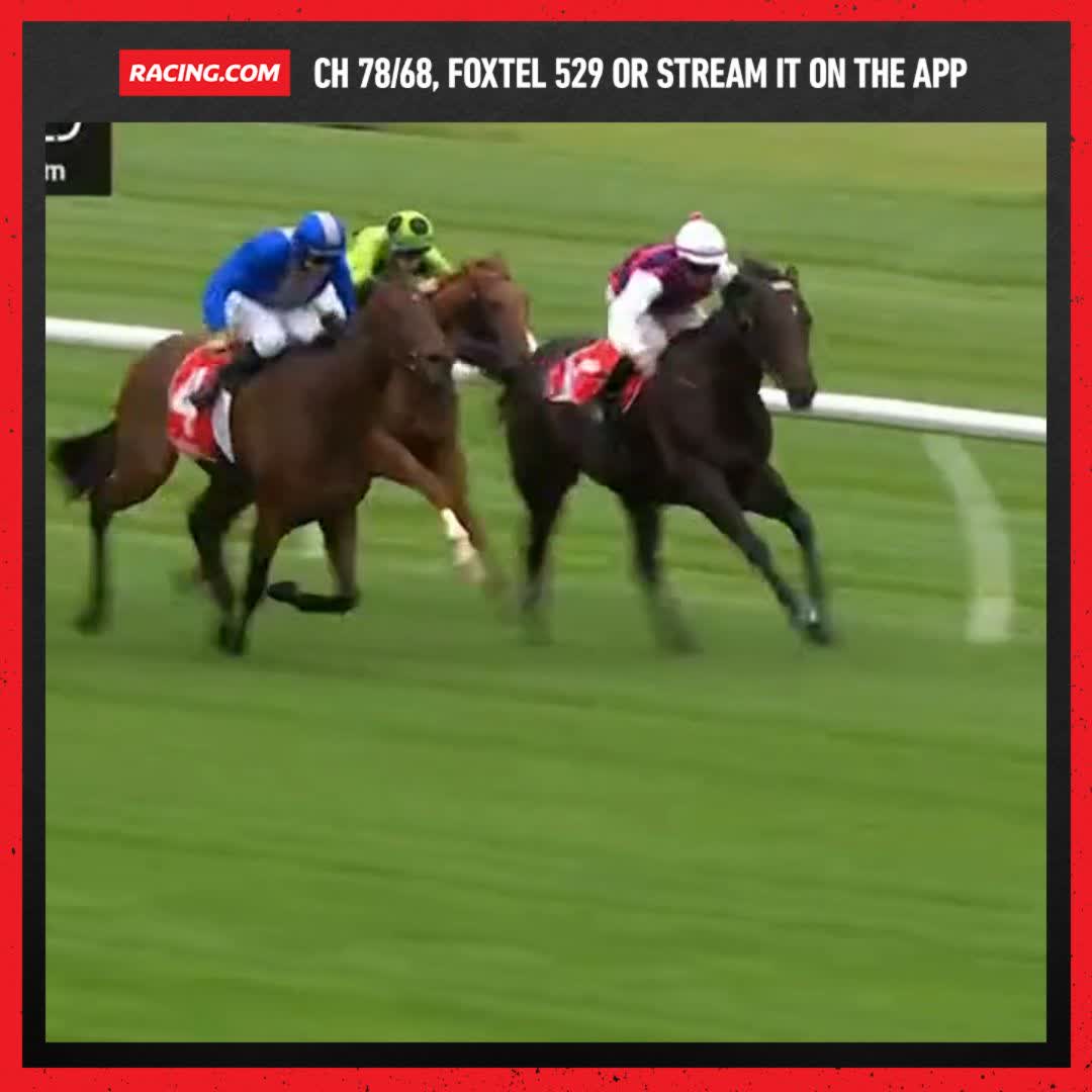 Debutant Esskay runs over the top in the opener at Ladbrokes Park 👏 Danny O'Brien Damian Lane