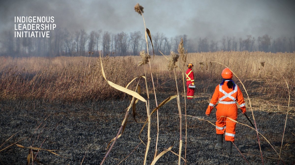 Understanding how fire can be a tool to help better the land just got easier, thanks to the Muskrats to Moose Project! Their new toolkit is an incredible resource for #Indigenous fire knowledge & fire management strategies.