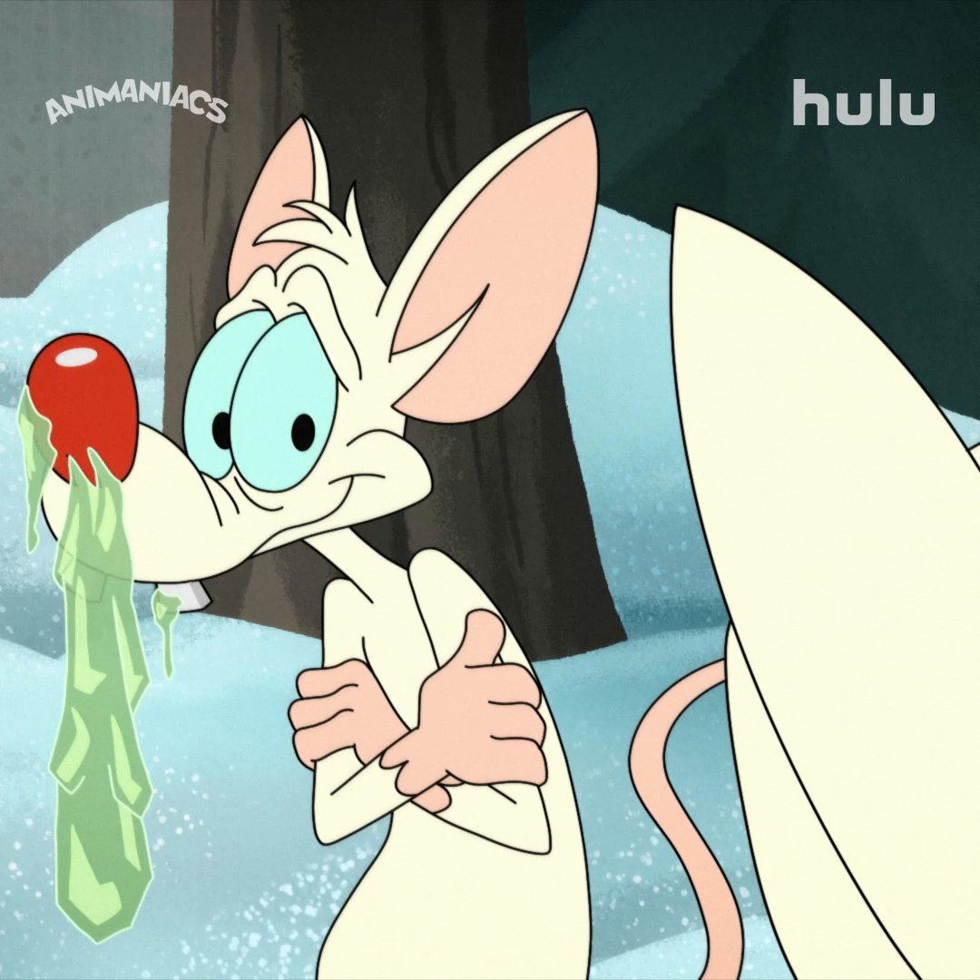 Brinky fans, this one's for you. ❤️ #Animaniacs