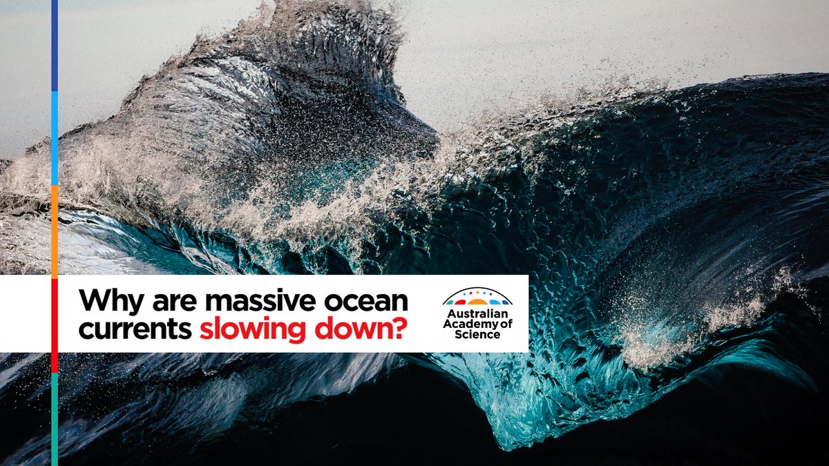 BREAKING: A landmark paper, published in nature today, warns the deep ocean circulation that forms around Antarctica could be headed for collapse, having a profound impact on marine ecosystems, according to Prof. Matt England FAA and Dr Adele Morrison.