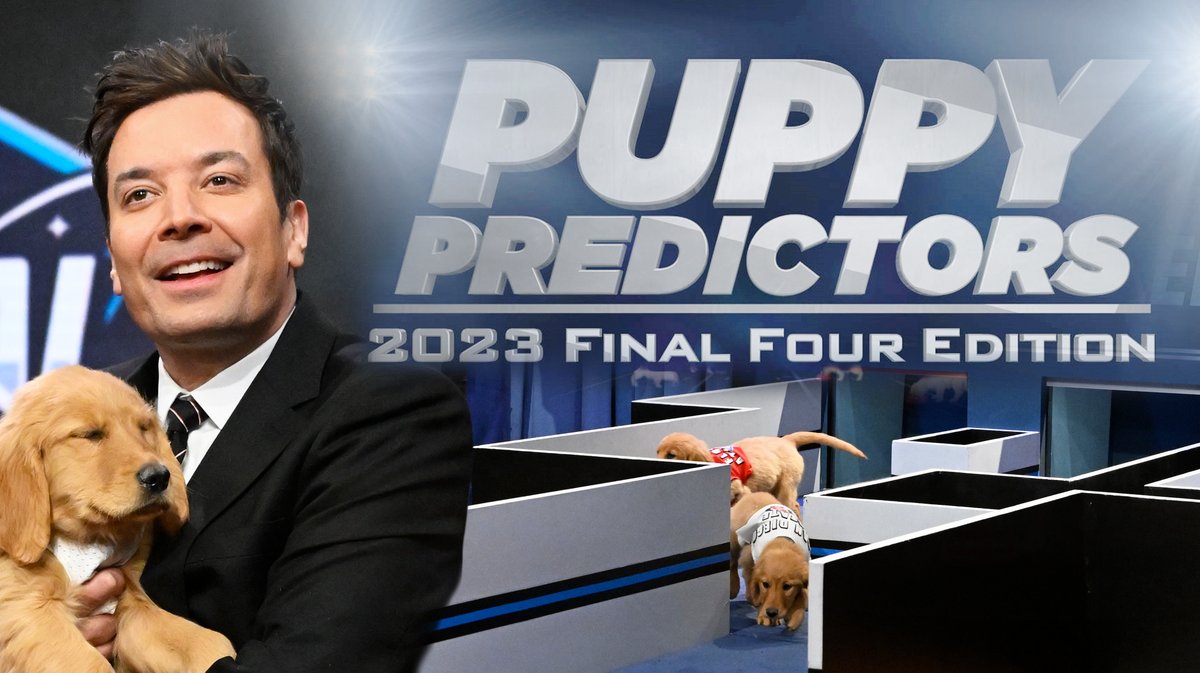 And they’re off! Puppies predict which #FinalFour team will win #MarchMadness! #FallonTonight