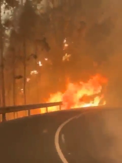 Las imágenes que nos llegan del fuego que devora #Asturias nos dejan sin palabras. Este #vídeo pertenece a un vecino de La Figal que se encontró así la carretera al intentar salir de su casa. ➡ Puedes seguir la evolución del fuego aquí: