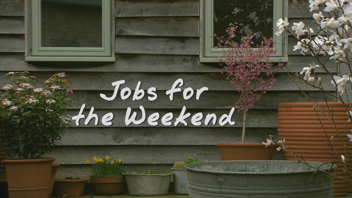 If you fancy getting out in the garden today, here's a quick reminder of your #JobsForTheWeekend courtesy of #FrostAtWork 🙂🍅🌳 #LetItGrow #GardenersWorld #SaturdayMotivation #GardeningTwitter