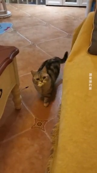 it's play time