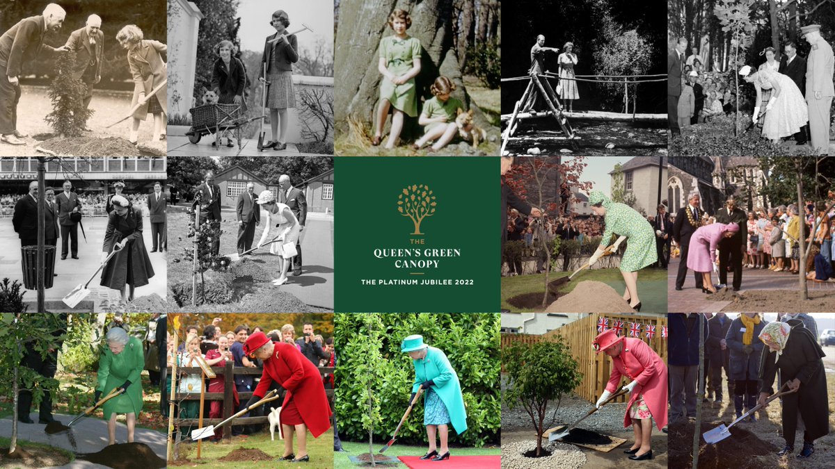 An inspiring film narrated by QGC Ambassador Dame Judi Dench has been released to showcase the dynamic way in which the #queensgreencanopy initiative has united the nation behind a common goal – to plant #trees 🌳 🇬🇧 ❤️ The Royal Family The Prince and Princess of Wales