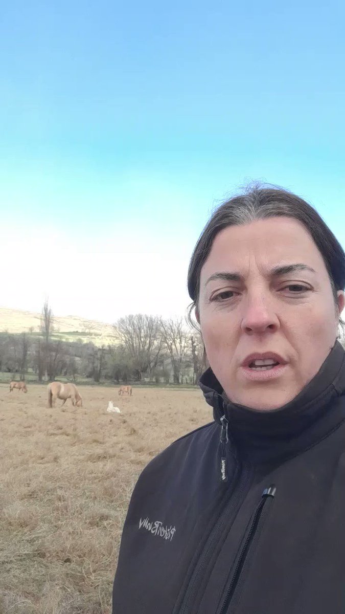 Benvinguts al món rural 🌱