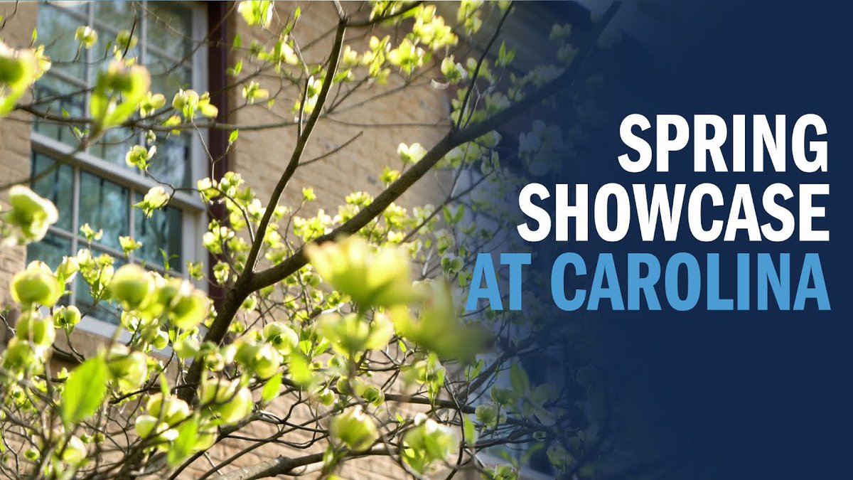 Carolina is in full bloom! With temperatures rising and flowers blossoming, #UNC's campus is breathtaking. Take a few minutes to enjoy the scenes of campus during this beautiful time of year 🌸🌷🌼