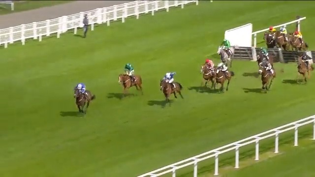 BLUEKING D'OROUX takes the crown! 👑 Another #Ascot win for Paul Nicholls OBE in the #RoyalAscot Racing Club Juvenile Handicap Hurdle Race.