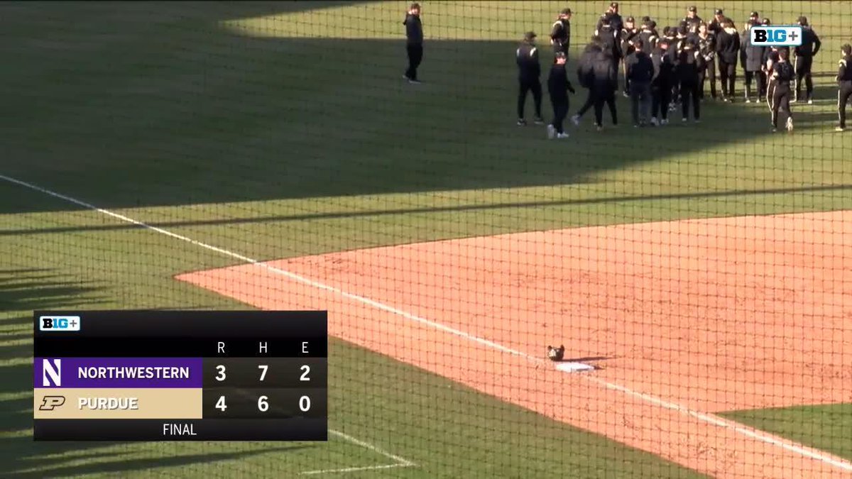 The scene at Alexander as Lukas cook goes Big Fly over the Bullpen. What a moment for the Walk-off 💣. #BoilerUp