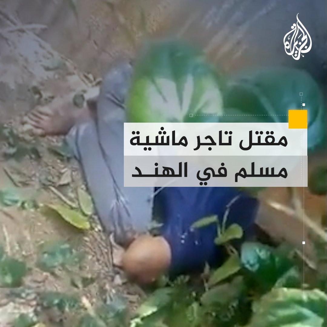 اختطفوه وتخلصوا من جثته في مكان مهجور.. مقتل تاجر ماشية مسلم على يد "جماعة حماية الأبقار" في #الهند