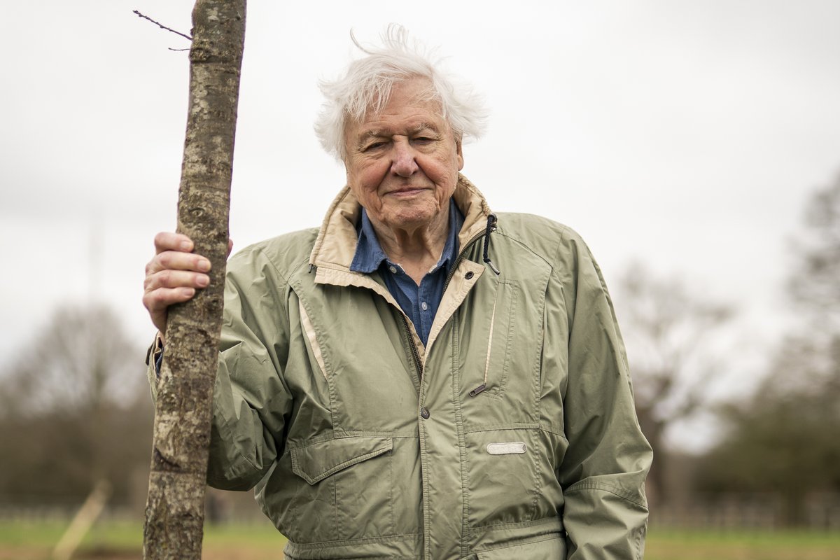 Sir David Attenborough has warned in his new BBC show that humans have a “few years” to save nature. Julia: “People assume this is fact. No wonder they think Net Zero might be sensible!” Russell: “David Attenborough is becoming the Gary Lineker of the natural world.” Julia Hartley-Brewer