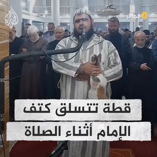 قطة تقتحم محراب الإمام أثناء صلاة التراويح وتتسلق كتفه في مسجد في #الجزائر #الجزيرة_في_رمضان