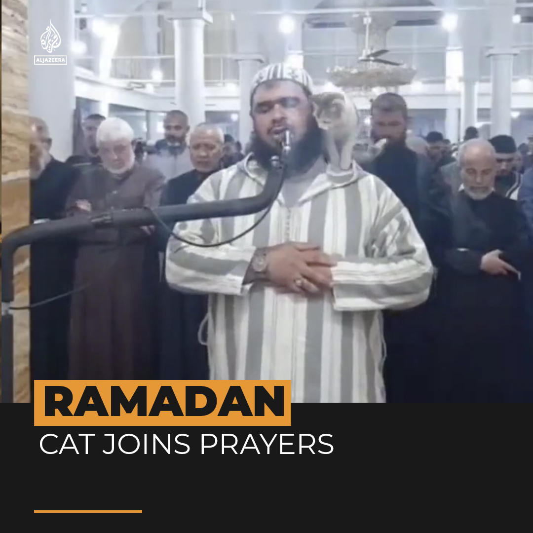 A cat jumped on an Imam as he recited a Ramadan prayer during a live broadcast in Algeria ๐