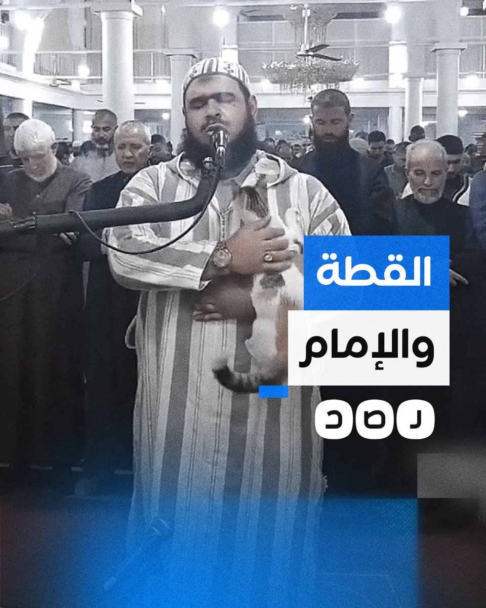 ثباته الانفعالي أثار إعجاب الملايين.. قطة تعتلي كتف إمام أحد مساجد الجزائر أثناء أدائه لصلاة التراويح